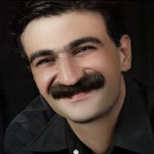 حمید حمیدی دانه دانه خال